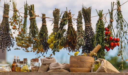 Natural vs. Synthetic - Choosing Herbal Products